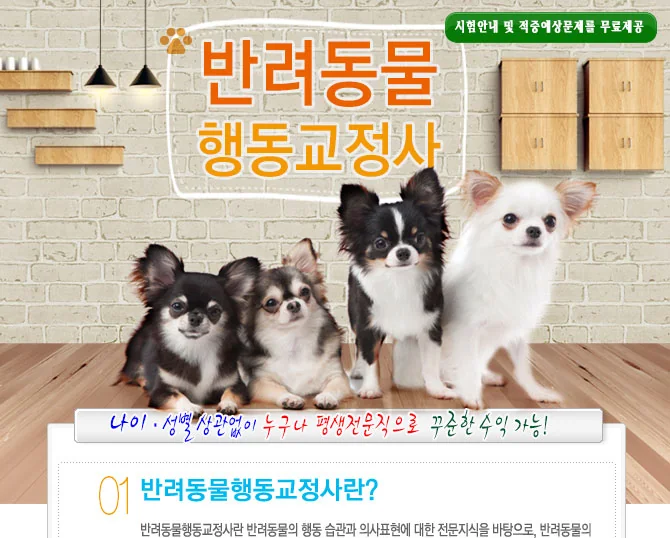 반려동물행동교정사 과정 소개